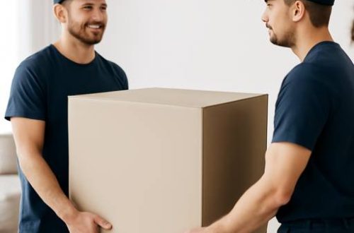 Best Movers Near Me: Your Local Guide to a Smooth, Stress‑Free Move in Winnipeg